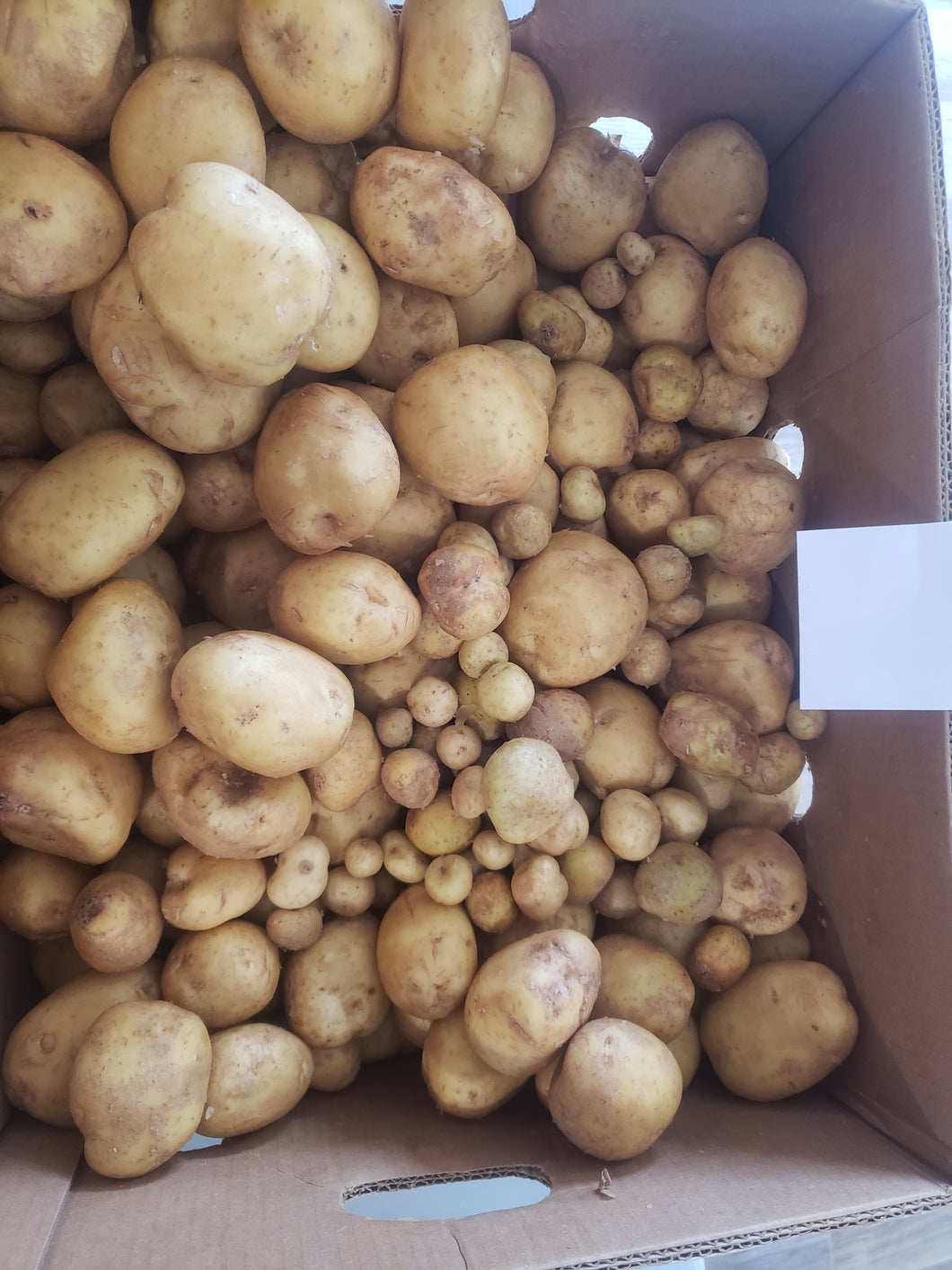 New Poatoes 3Lb