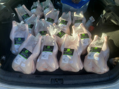 Ebbetts Free Range Turkeys! 15-16lbs