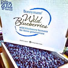 Bonnyman Spray Free  Wild Blueberries - Frozen 5LB