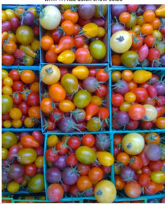 1lb of Vine Tomatoes