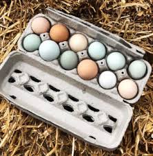 Free Range Farm Fresh Eggs - Sulivan's - Limited Time